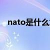 nato是什么意思中文（nato是什么组织）