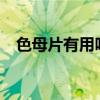 色母片有用吗?（色母片是做什么用的啊）