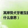 其岸势犬牙差互的其是什么意思（其岸势犬牙差互的犬牙是什么意思）