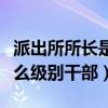 派出所所长是什么级别领导（派出所所长是什么级别干部）