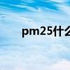 pm25什么意思啊（pm25什么意思）