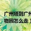 广州塔到广州动物园怎么走（广州塔到广州动物园怎么走）