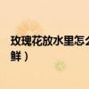 玫瑰花放水里怎么保存时间长（玫瑰花水里面放什么可以保鲜）