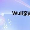 Wuli亲故（wuli亲故是什么意思）