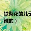 铁梨花的儿子牛旦认母视频（铁梨花的儿子是谁的）