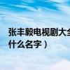 张丰毅电视剧大全一演市长电视剧（张丰毅的市长电视剧叫什么名字）