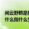 闲云野鹤是指什么生肖?（闲云野鹤的意思是什么指什么生肖）