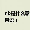 nb是什么意思网络用语（nb是什么意思网络用语）