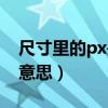 尺寸里的px是什么单位（长度单位px是什么意思）