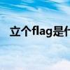 立个flag是什么标志（立个flag是啥意思）