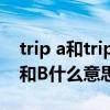 trip a和trip b是什么意思汽车（汽车trip A和B什么意思）