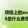 项链上的au585是什么意思（项链上的au916是什么意思）