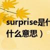 surprise是什么意思翻译成中文（surprise是什么意思）