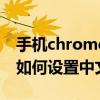 手机chrome怎么设置中文（手机版chrome如何设置中文）