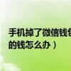 手机掉了微信钱包里的钱被盗怎么办（手机掉了微信钱包里的钱怎么办）