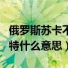 俄罗斯苏卡不列是什么意思（俄罗斯苏卡布列特什么意思）