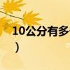 10公分有多长参照物（10公分有多长参照物）