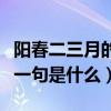 阳春二三月的下一句是什么（阳春二三月后面一句是什么）