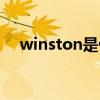 winston是什么烟（winston是什么烟）