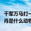 千军万马打一生肖什么生肖（千军万马打一生肖是什么动物）