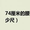 74厘米的腰围是几尺几（74厘米的腰围是多少尺）