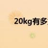 20kg有多重呢（20kg有多重参照物）