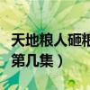 天地粮人砸粮库是第几集（天地粮食人开粮仓第几集）