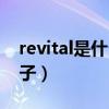 revital是什么牌子化妆品（revital是什么牌子）