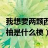 我想要两颗西柚是情侣网名吗（我想要两颗西柚是什么梗）