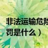 非法运输危险品处罚规定（非法运输危险品处罚是什么）