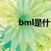 bml是什么意思中文（bml是什么）