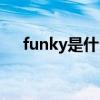 funky是什么音乐（funky是什么意思）