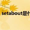 setabout是什么意思（setabout什么意思）