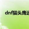 dnf猫头鹰远程仓库（dnf猫头鹰怎么得）