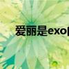 爱丽是exo的粉丝名吗（爱丽是什么梗）