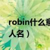 robin什么意思人名怎么读（robin什么意思人名）