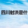 四川射洪是什么市（四川射洪是属于哪个市）