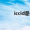 iccid是什么意思（iccid是什么）