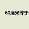 60厘米等于多少米（60厘米等于多少米）