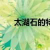 太湖石的特点和缺点（太湖石的特点）