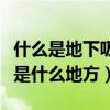 什么是地下吸猫场所真实视频（地下吸猫场所是什么地方）