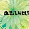 西瓜几月份成熟最好吃（西瓜几月份成熟）