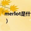 merlot是什么红酒价格（merlot是什么红酒）