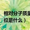 相对分子质量是否有单位（相对分子质量的单位是什么）