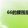 66的腰围是多大码（66腰围是多少码）