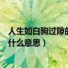 人生如白驹过隙的下一句是什么（人生如白驹过隙这句话是什么意思）