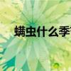 螨虫什么季节繁殖最快（螨虫什么样子）