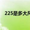 225是多大尺寸轮胎（225是多大码鞋子）