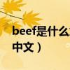 beef是什么意思中文说唱（beef是什么意思中文）