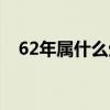 62年属什么生肖最好（62年属什么生肖）